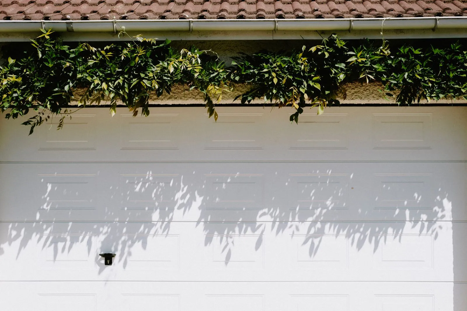 A closed white garage door adorned with lush green foliage casting shadows.
